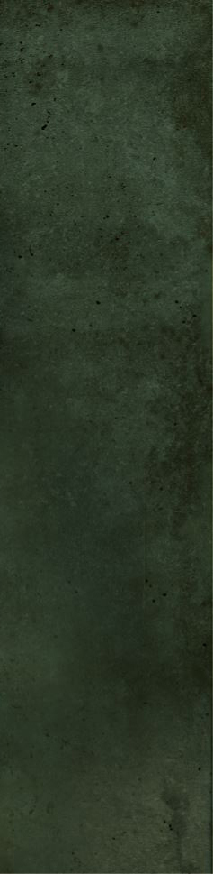 12-00-4-29-04-85-2563 На стену Magic Green 5.85x24