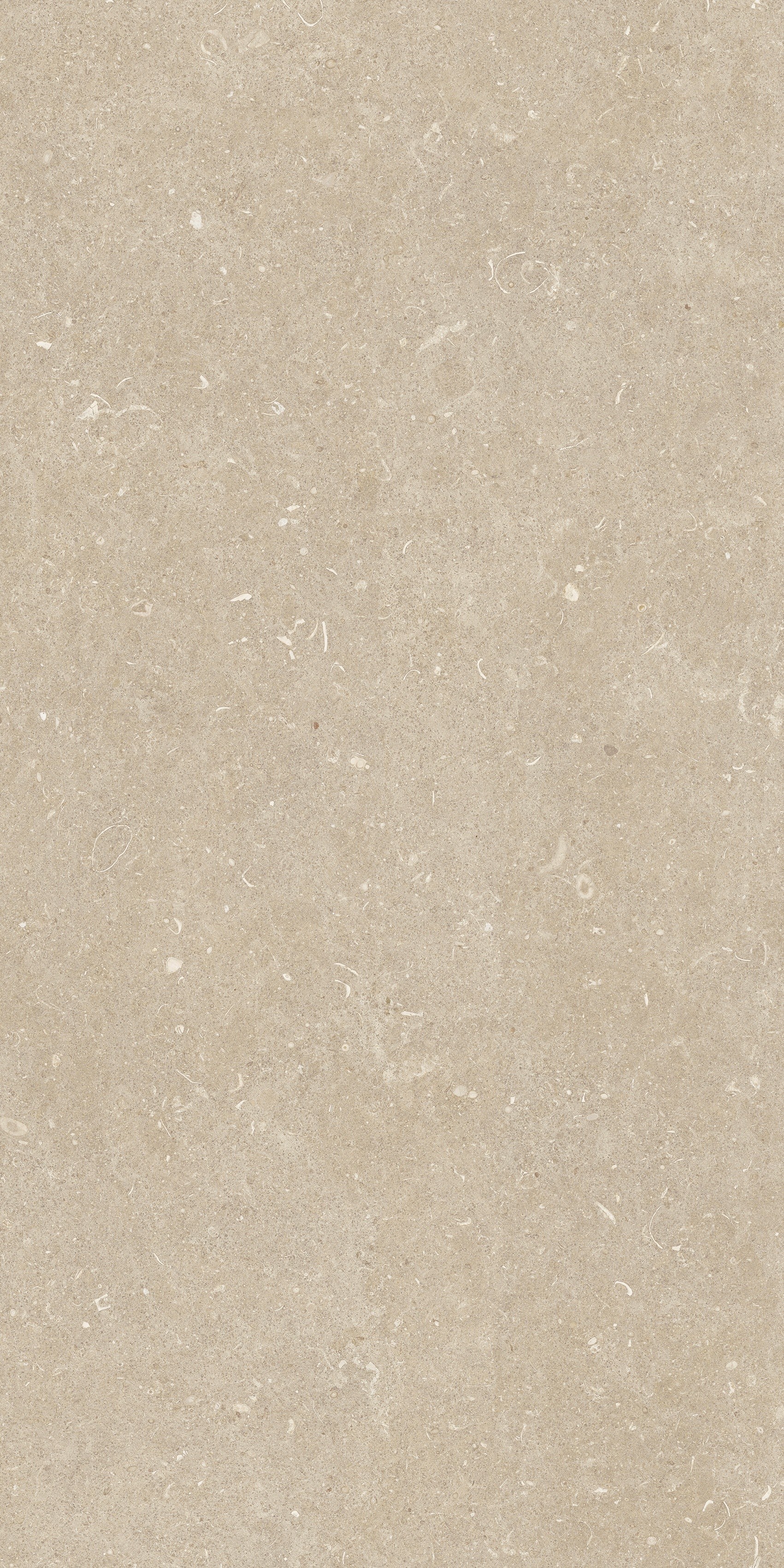 785509 На пол Rinascenza Arena Conchiglia Grip 20mm 60x120