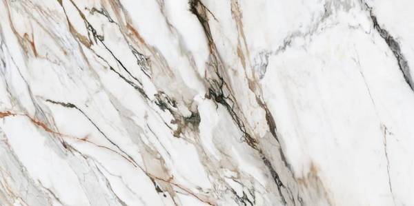 G000102 На пол Calacatta Paonazzo Mix Polished Rect