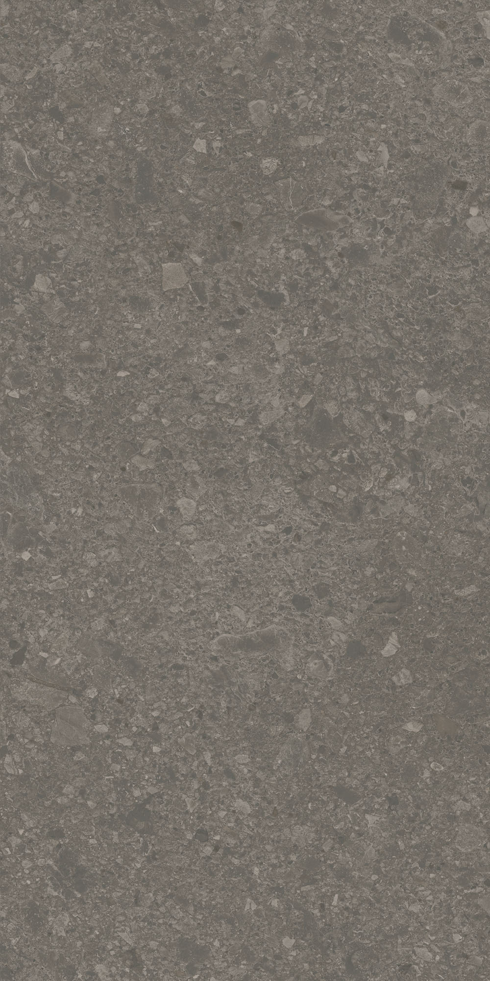 DD591720R На пол Чеппо ди Гре Коричневый матовый обрезной 119.5x238.5x0.9 - фото 4