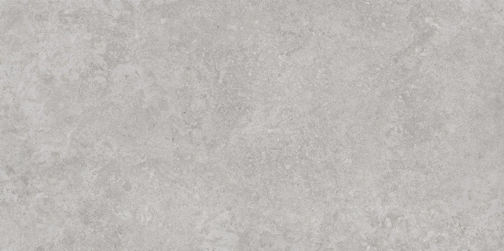 AVS-107 На пол Antica Silver Lappato 600x1200 - фото 7