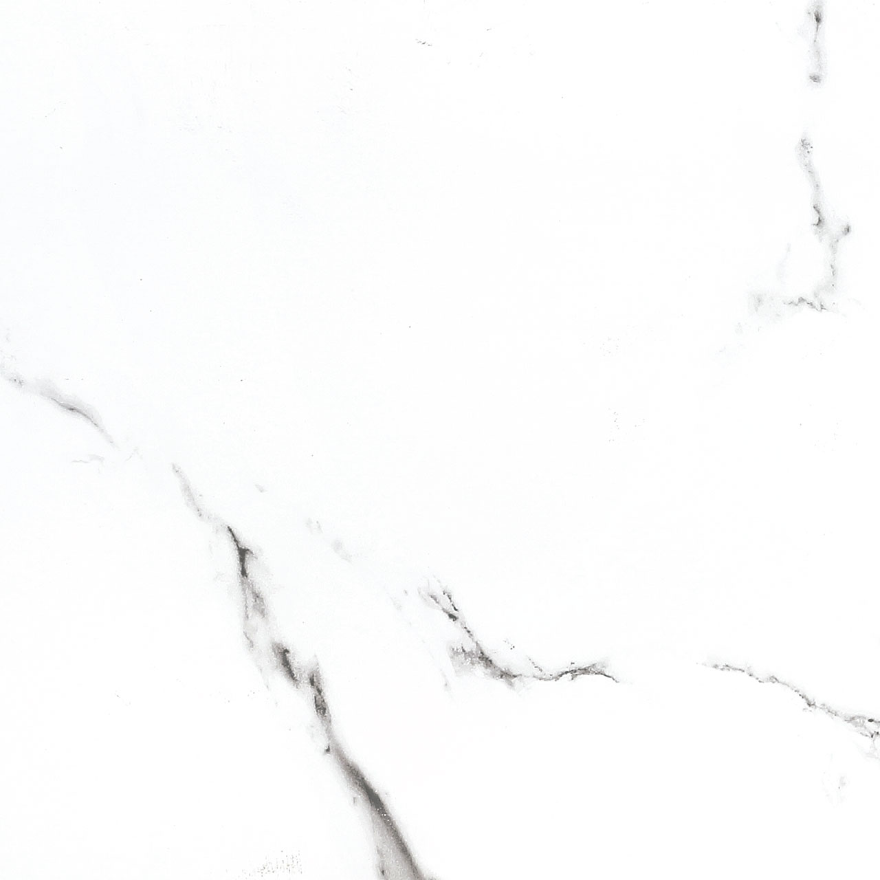 BB6NTT9100P На пол Bright And Shiny BB6NTT9100P - фото 8