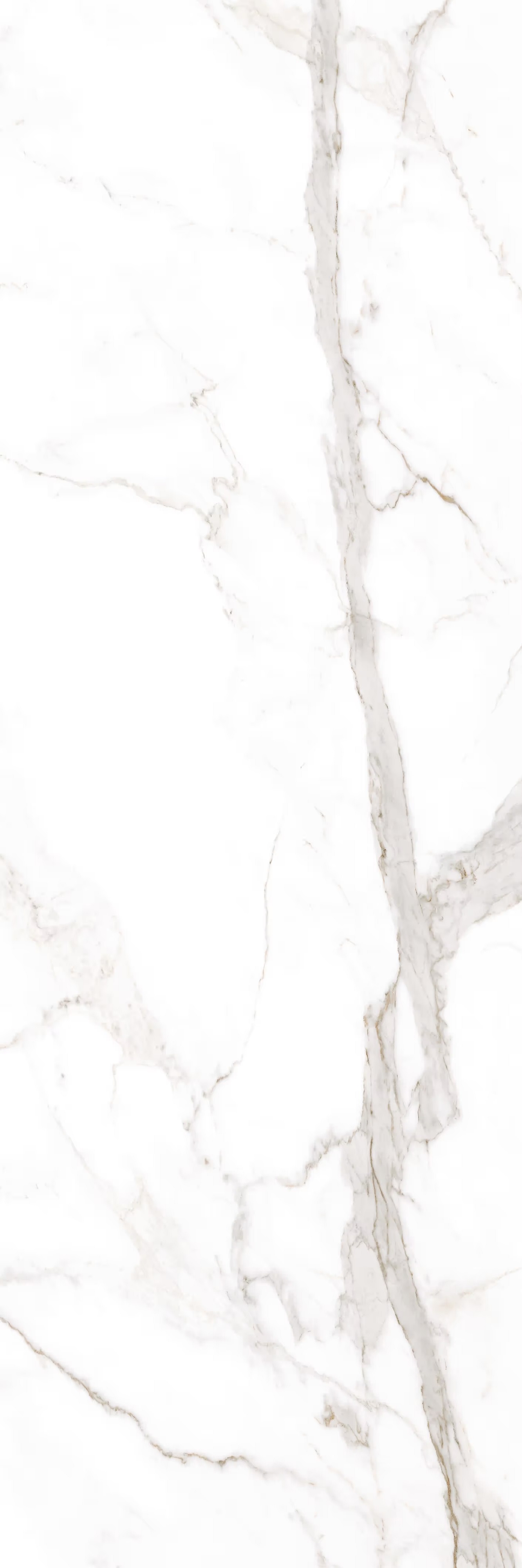 LAMFF00318_IT На пол I Naturali Marmi Calacatta Oro Venato Lucidato 5 1000x3000