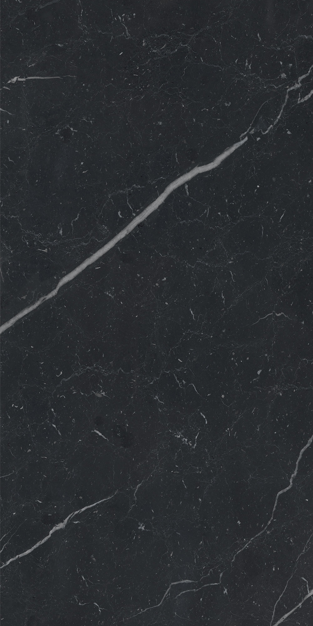 AGB7 На пол Anima Futura Unique Black Luc 60x120