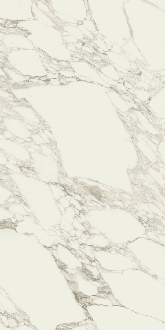 610010001921 На пол Charme Deluxe Arabescato White 80x160 - фото 6