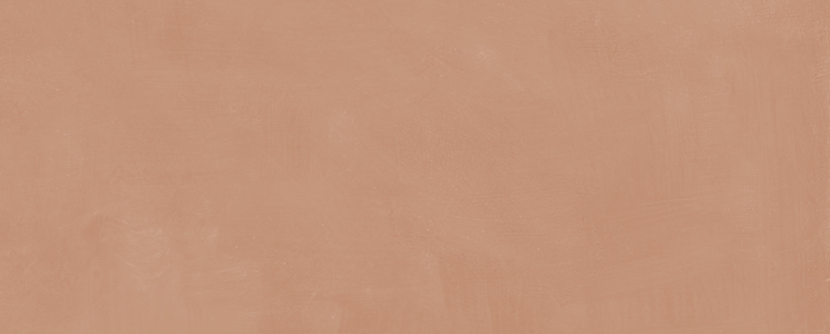 7254 Настенная Каннареджо Оранжевый матовый 20x50x0.8 - фото 4