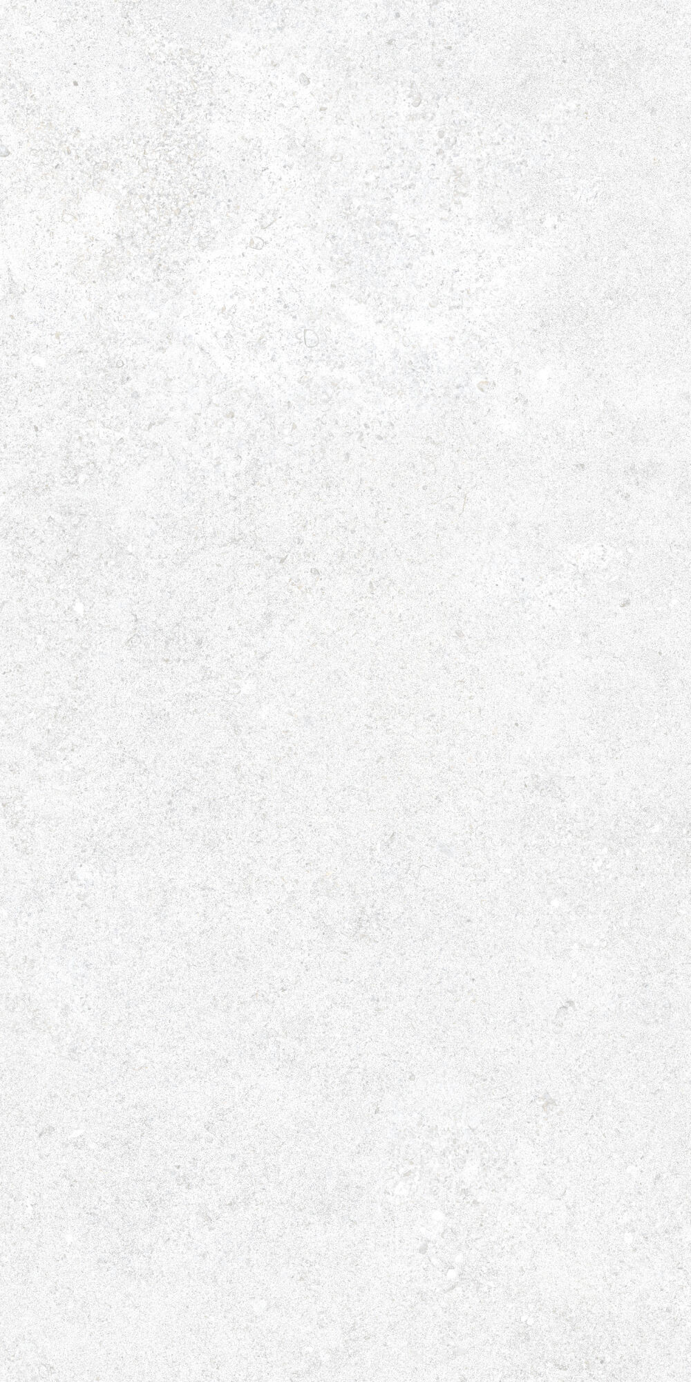 36905 На пол Cluny White 4D/50X100X2/A/R 50x100 - фото 14