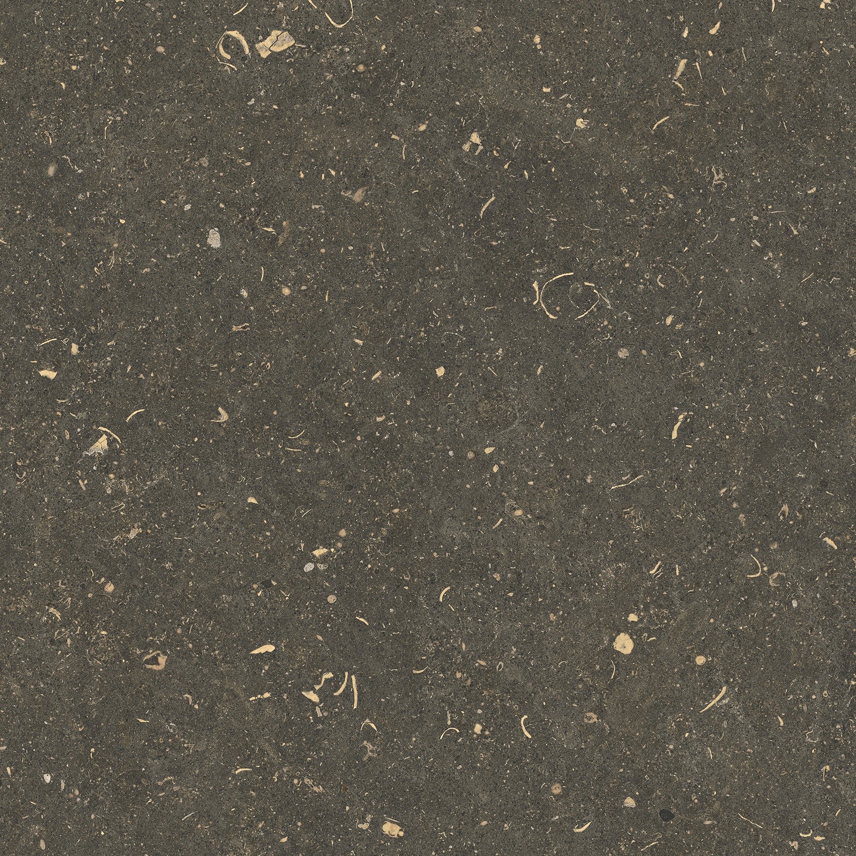 785507 На пол Rinascenza Arena Platino Grip 20mm 120x120