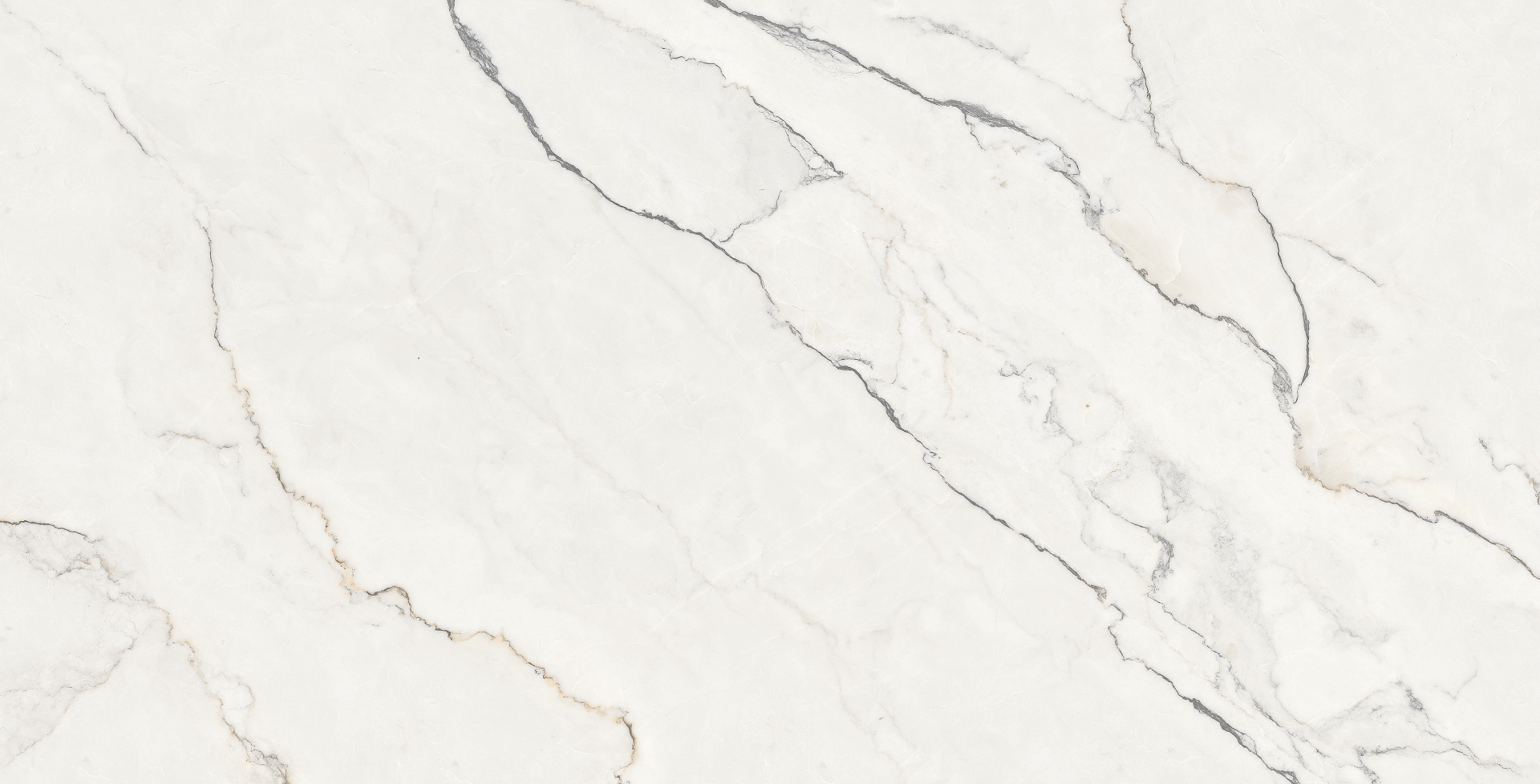 NTTHS99804D На пол Infinity Wisdom Stone 4D 60x120