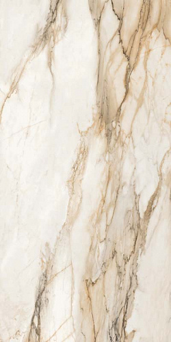 CSATMGOK12 На пол Trumarmi Tm Gold 60x120 kry