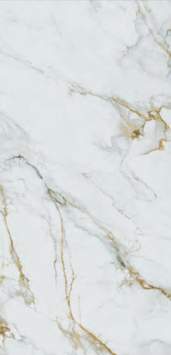 MG205 На пол Olga Gold Matt Granula 60x120 - фото 2