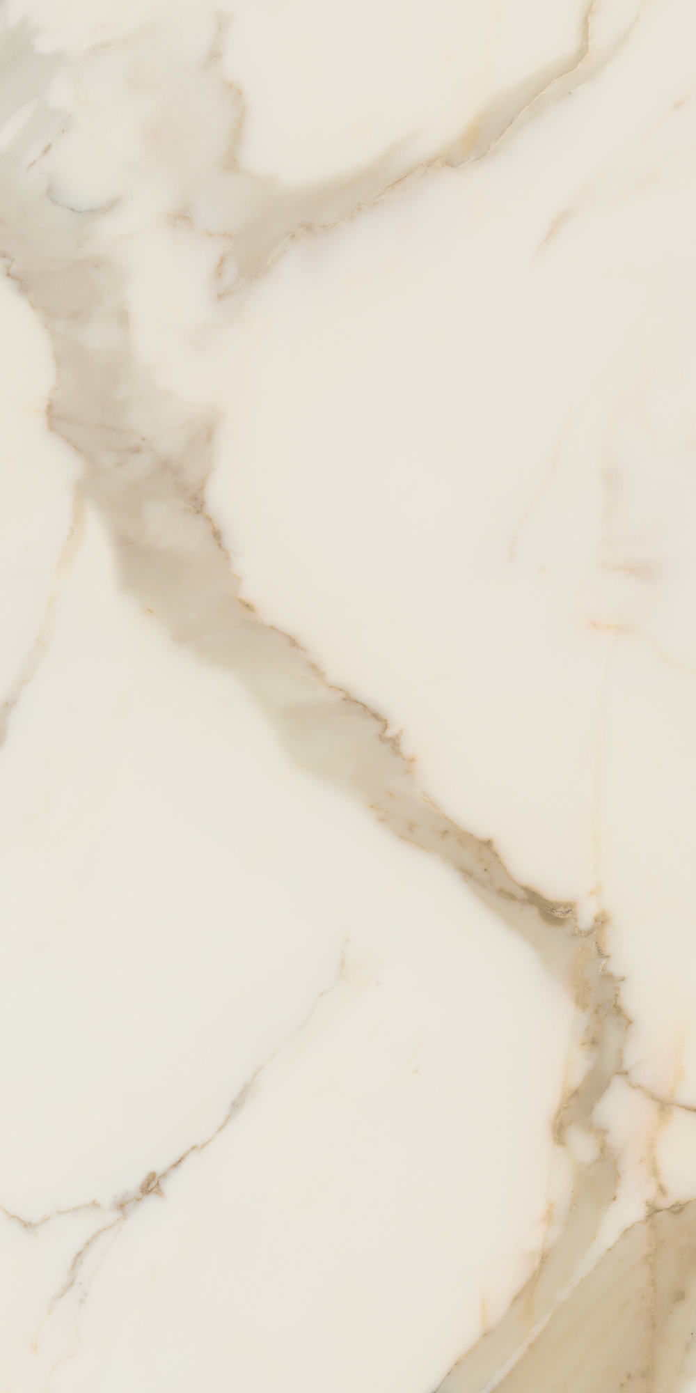 AGB0 На пол Anima Futura Golden White Rt. 120x60 - фото 8