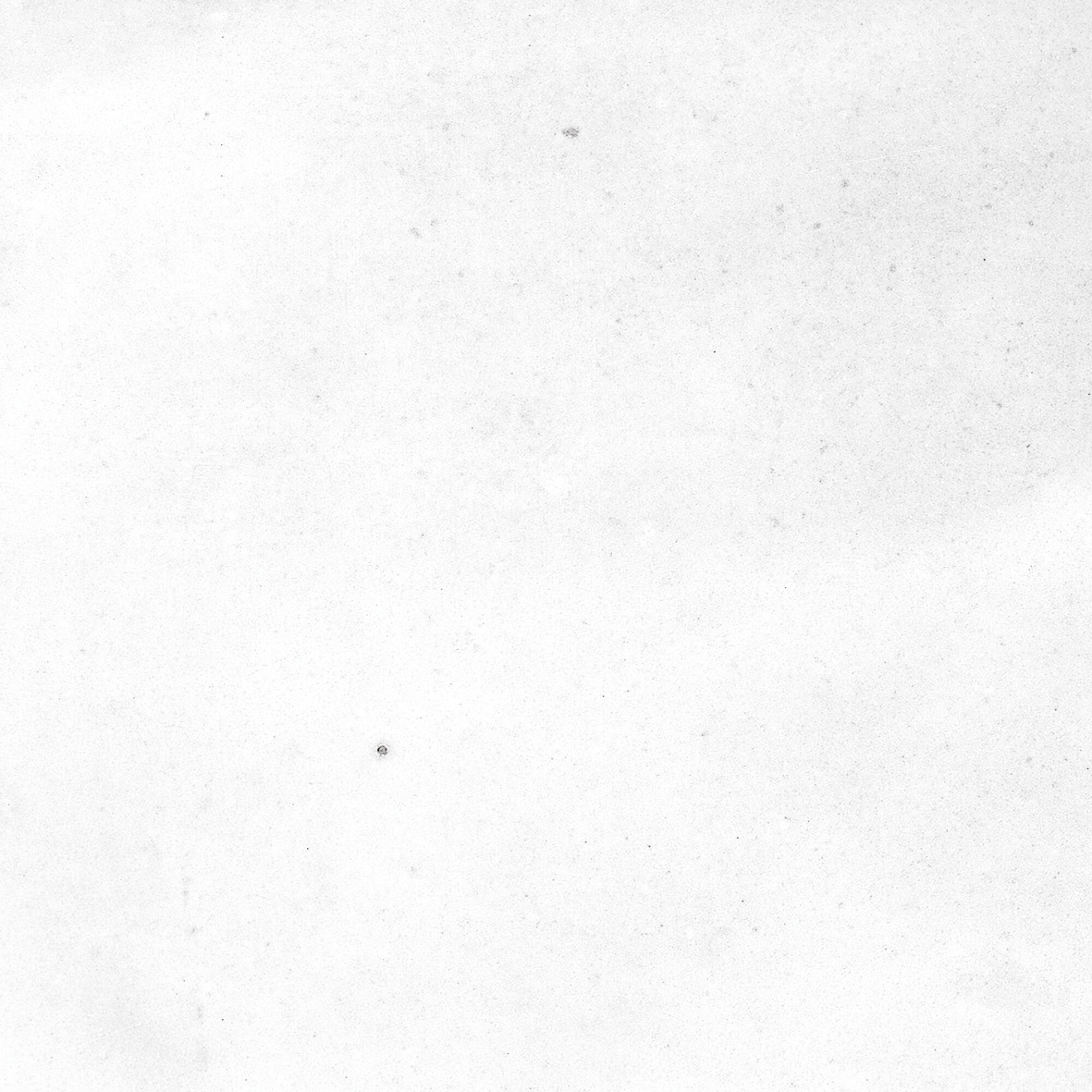 43294 На стену Samira White 10x10 - фото 14