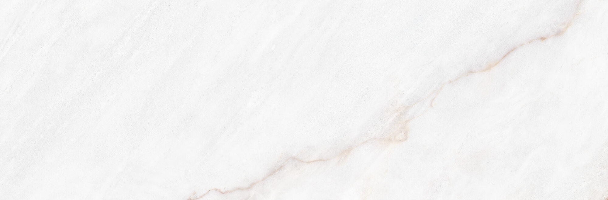 39500 На стену Museum Dahlia White SP/33.3X100/R 33.3x100 - фото 5