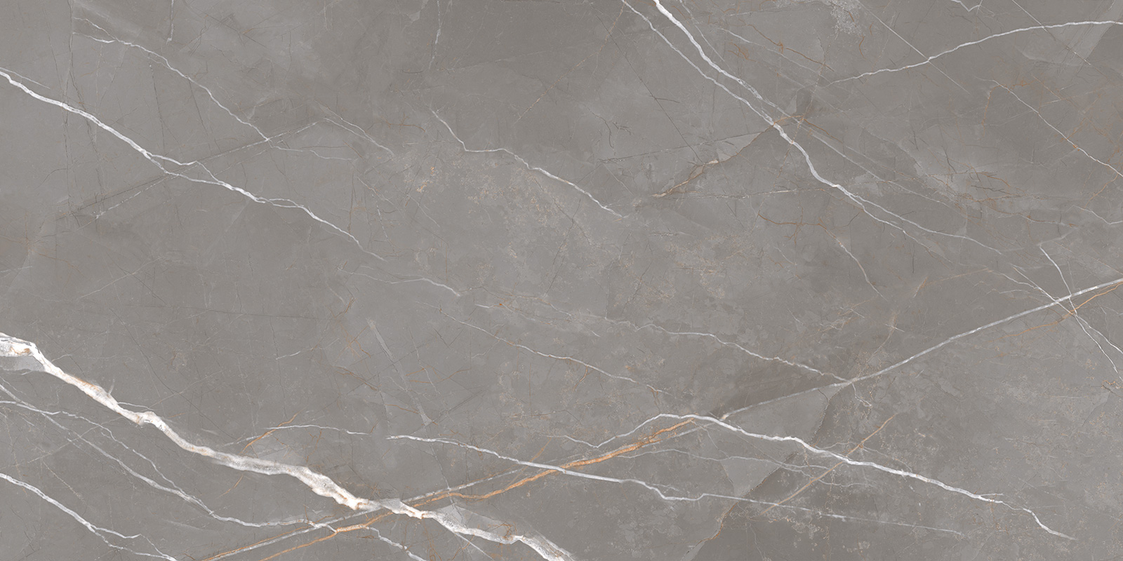 60120ESE25P На пол Essential Graphite полированный 600x1200x7 - фото 3