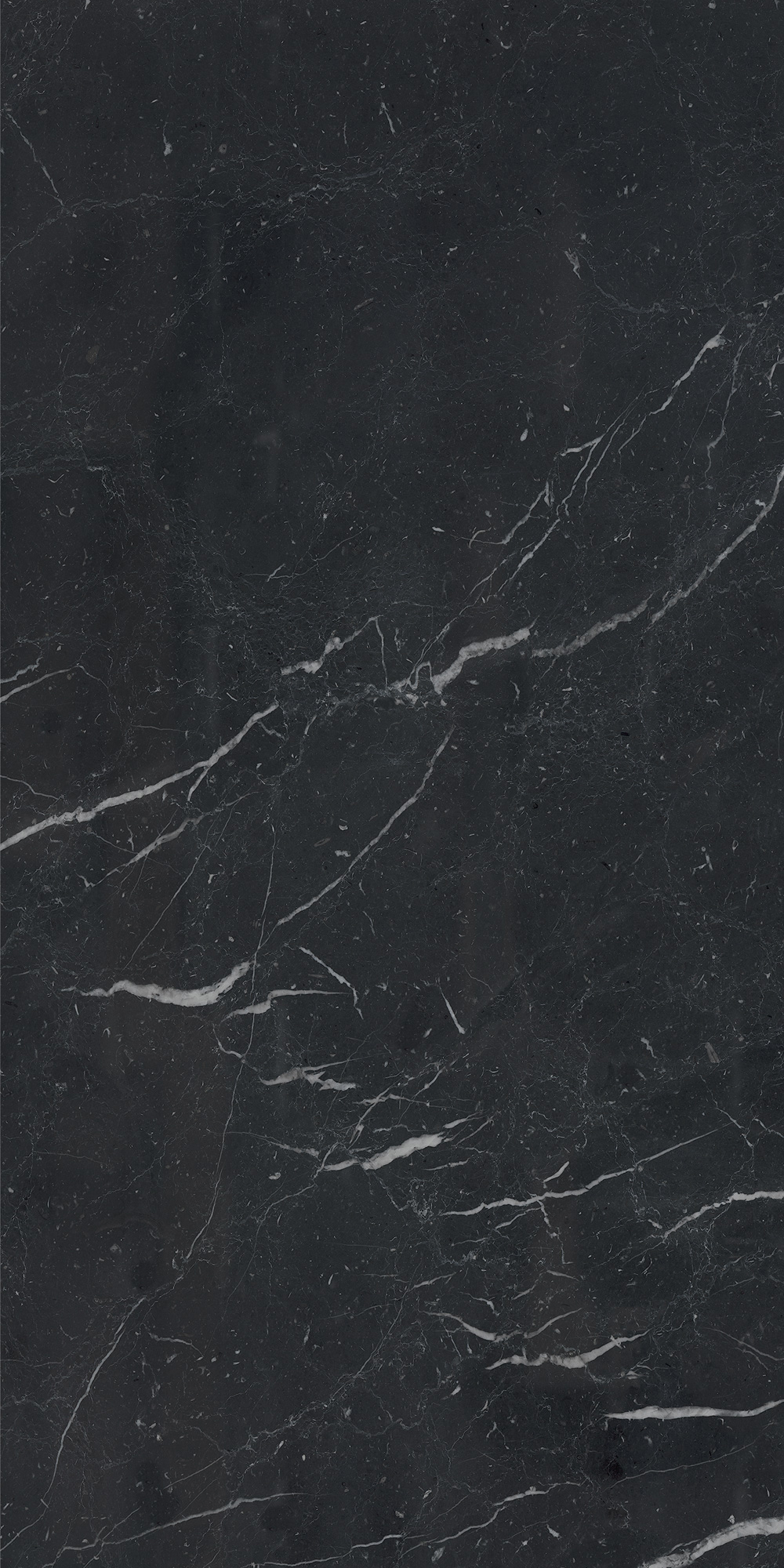 AGB7 На пол Anima Futura Unique Black Luc 60x120 - фото 5