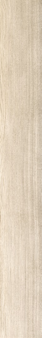 610010002769 На пол Eternum Acero Ret 20x160 - фото 2