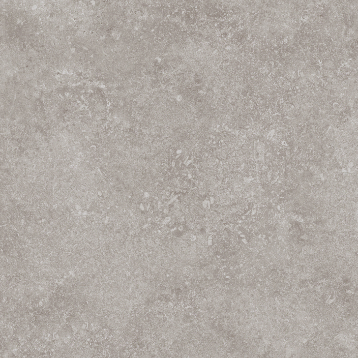 100324749 На пол Verbier Silver 59.6x59.6 - фото 4