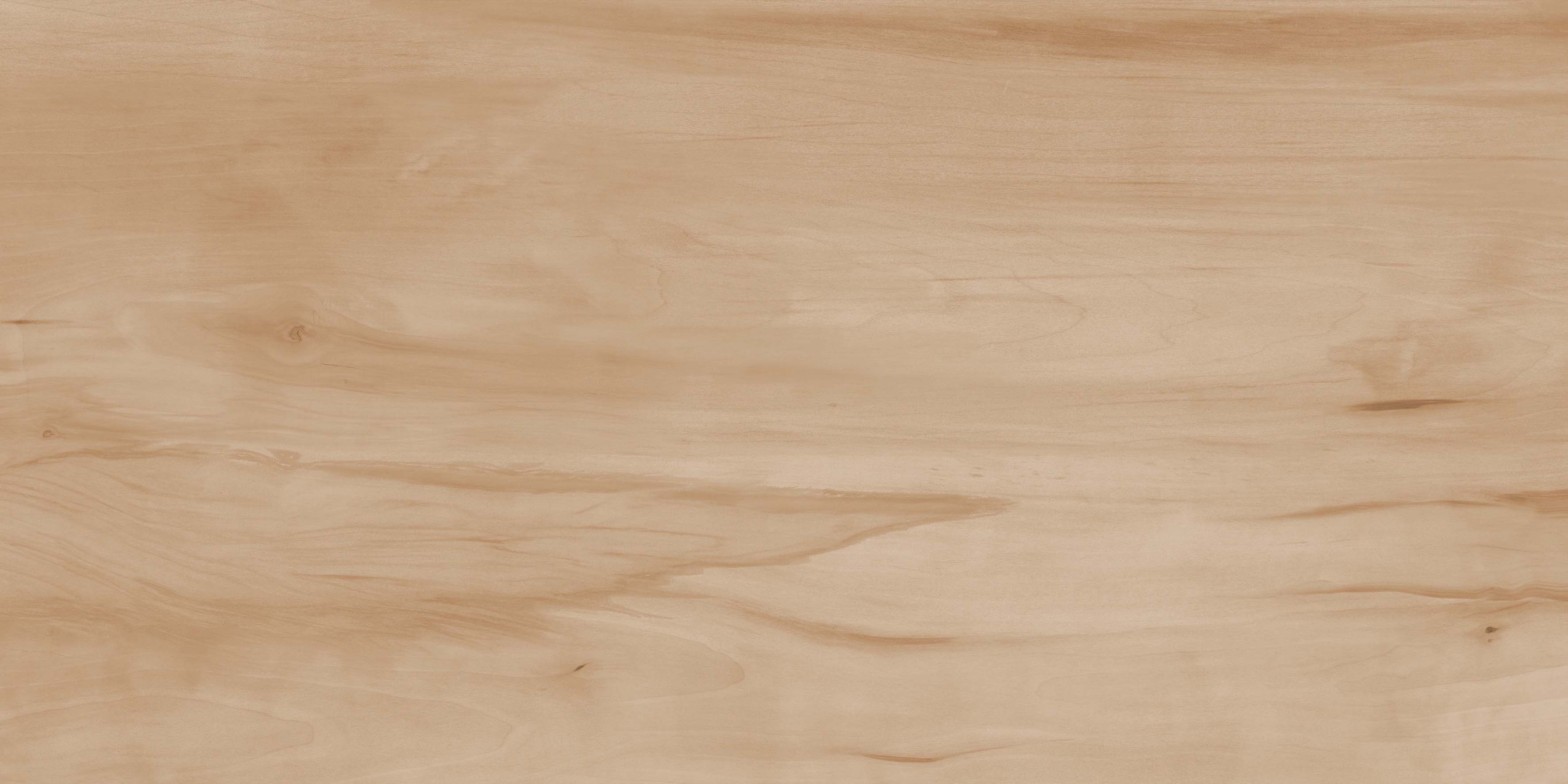 На пол Paint Wood Bone Matt 60x120 - фото 4