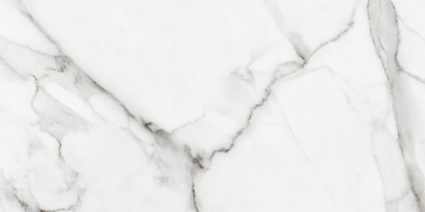 A16521 На пол Mont Blanc Белый 29.7x59.8 - фото 3