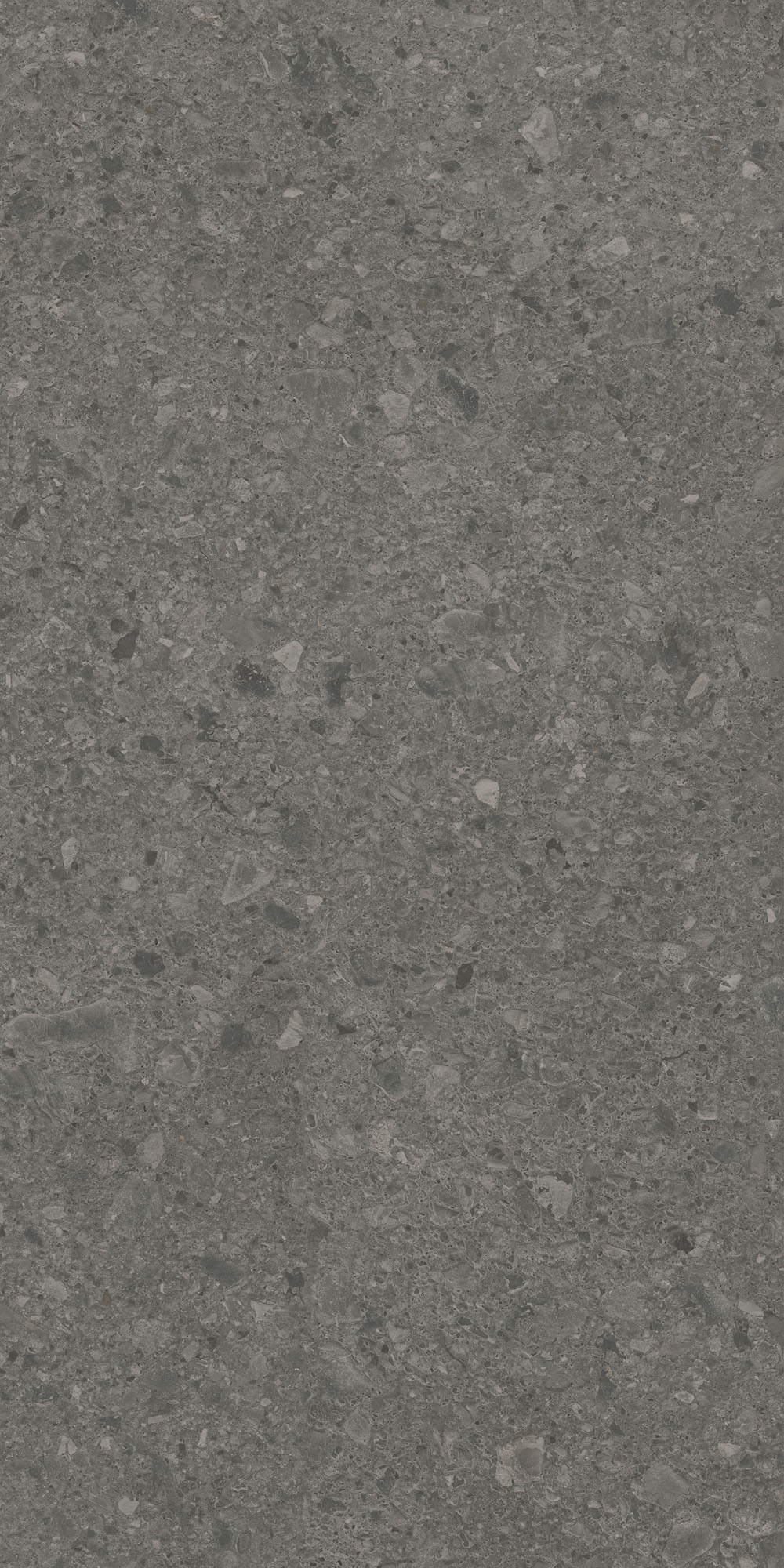 DD591600R На пол Чеппо ди Гре Антрацит матовый обрезной 119.5x238.5x1.1 - фото 4