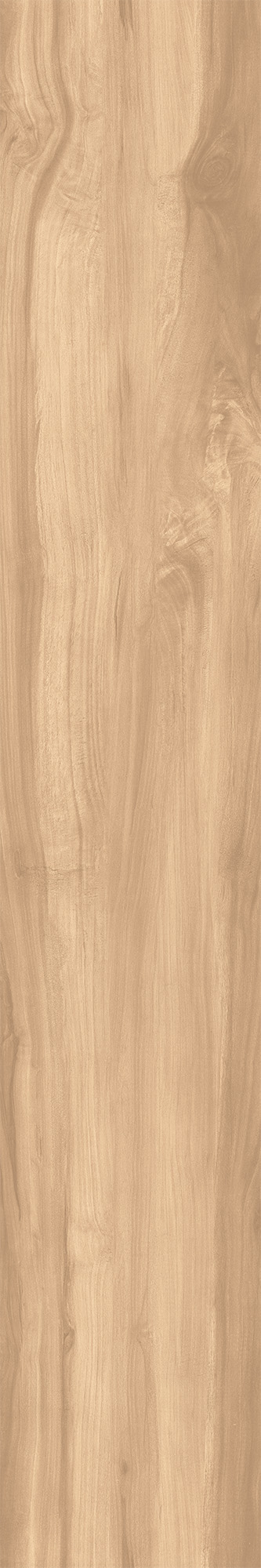 CW-RT09-B На пол Fossil Wood Brich Rustic 20x120 - фото 5