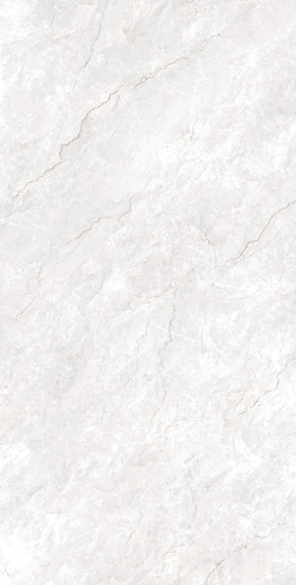 CZ-GL05-B На пол Ferrol White Matt Glossy Ink 80x160