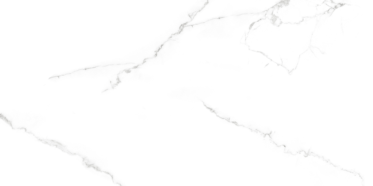 RP-238587  Calacatta Lite Satin 60x120 - фото 5