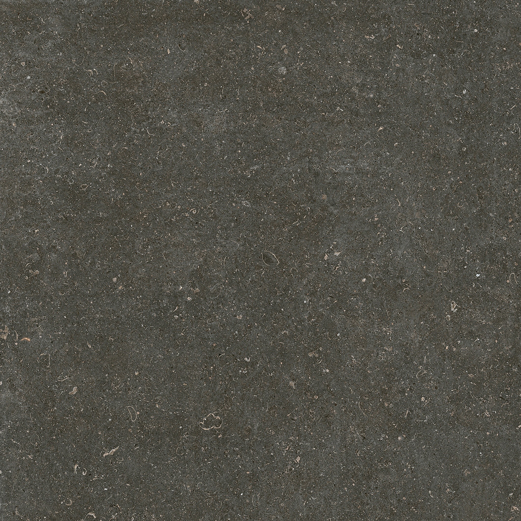 785581 На пол Rinascenza Arena Platino Matte 6mm 120x120