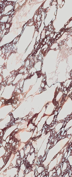 LAMFF01507_IT На пол I Naturali Marmi Calacatta Viola Lucidato 5 1200x3000