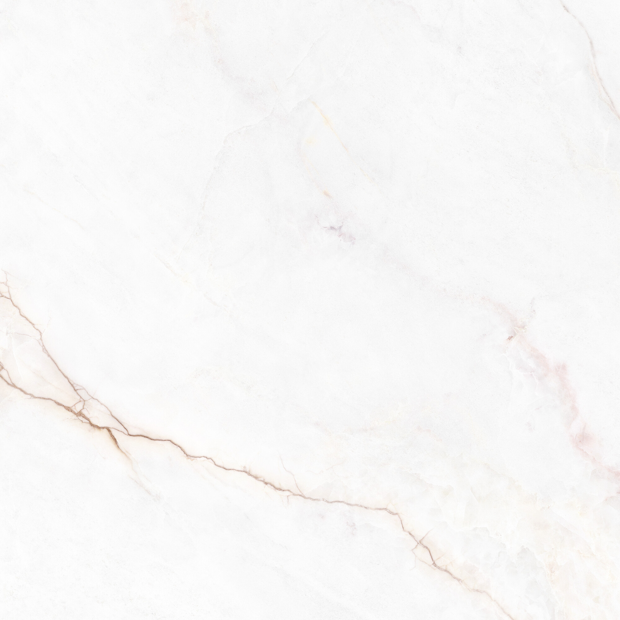 41431 На пол Museum Dahlia White SP/100X100X0.8/R 100x100 - фото 8