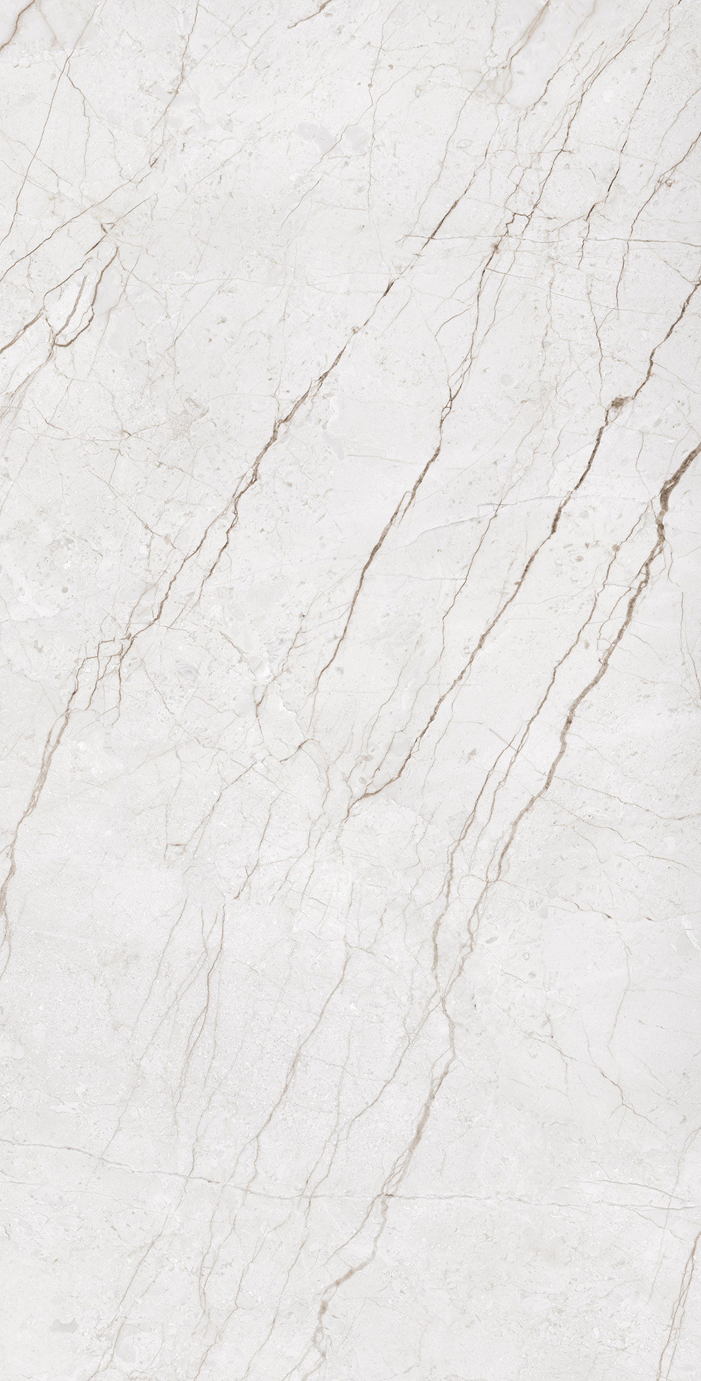 CR4014-A На пол Meteria Silver Carving 60x120 - фото 5