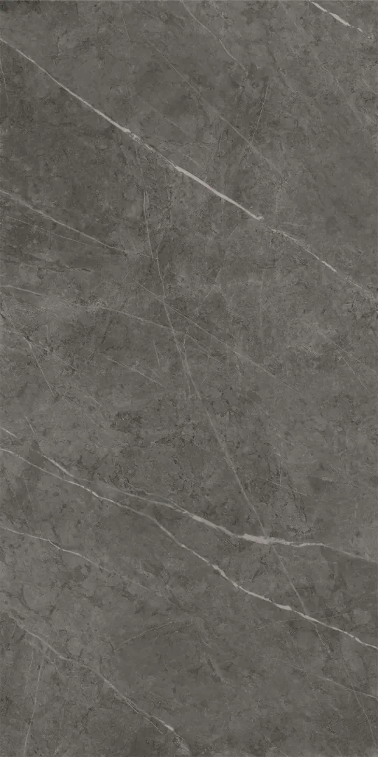 610015000239 На стену Charme Evo Floor Project Антрачит 30x60 Патинированный и Реттифицированный - фото 4