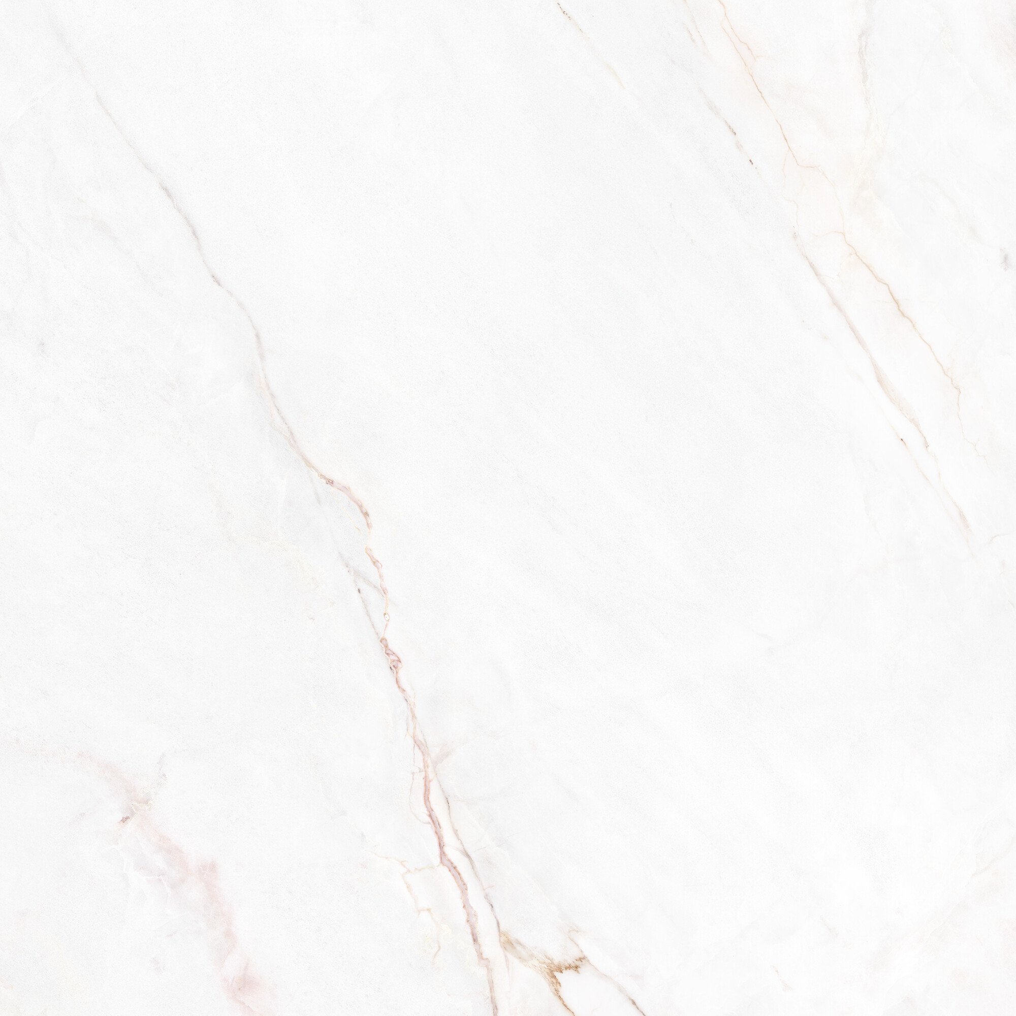 41431 На пол Museum Dahlia White SP/100X100X0.8/R 100x100 - фото 17