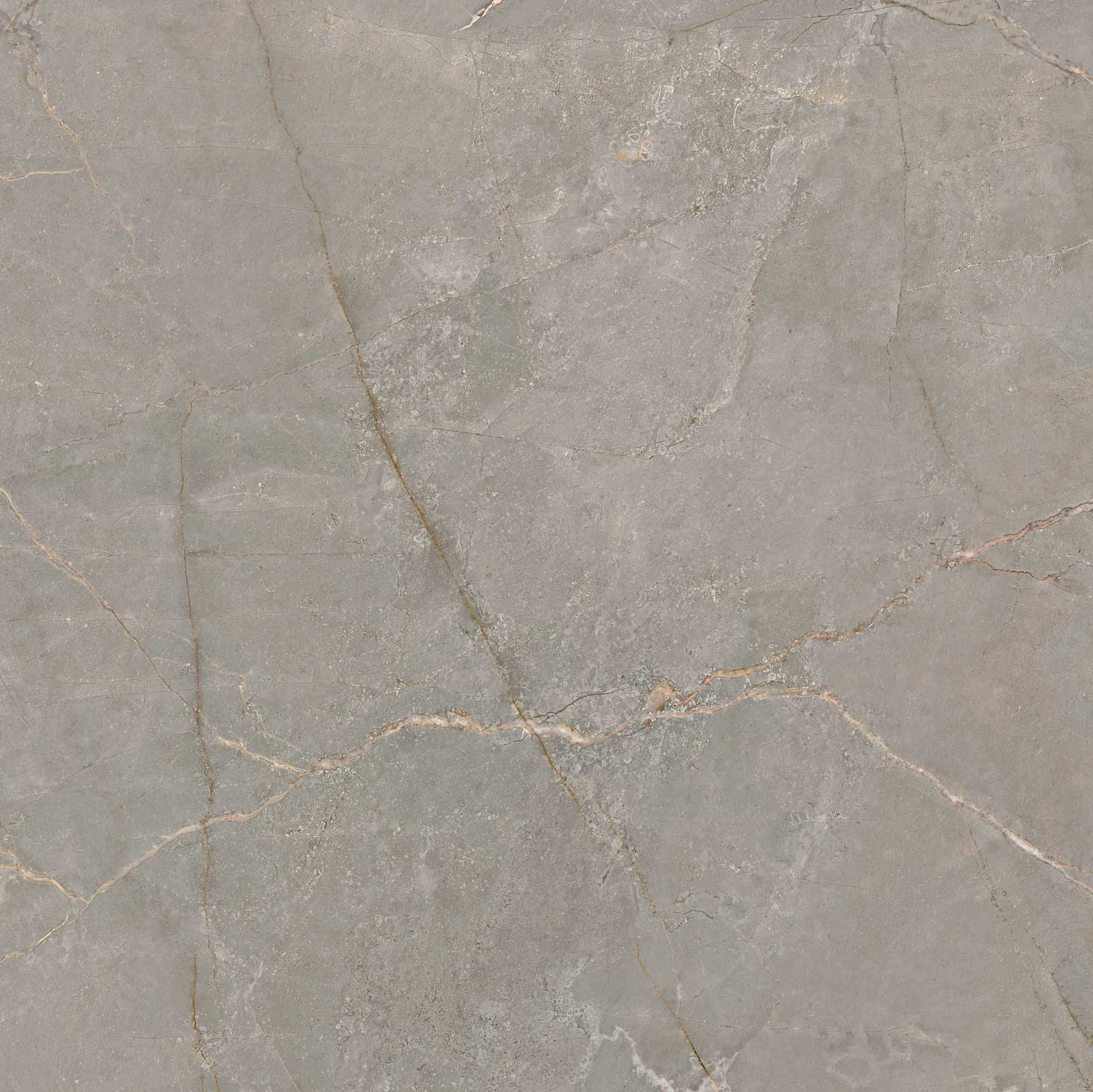 BR03/NS_NC/80x80x11R/GC На пол Bernini Grey BR03 80x80 Неполированный Ректификат - фото 7