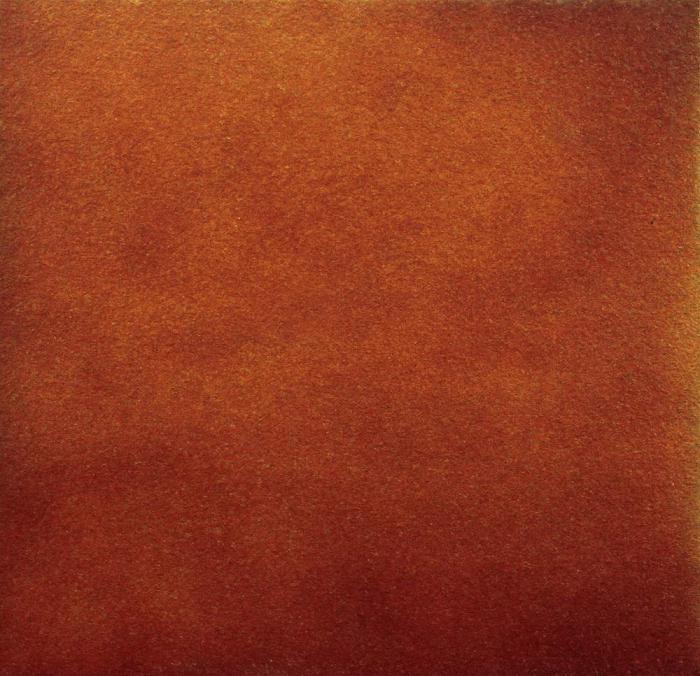 На пол Rodamanto Базовая антискользящая Asper