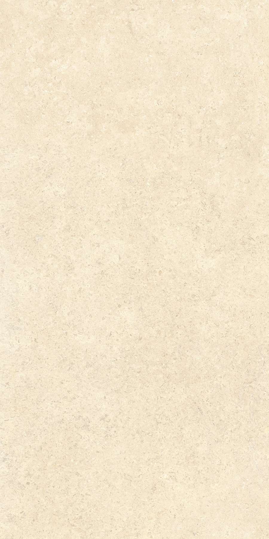 K948598R0001VTER На пол SandStone Песочный Матовый R10A Ректификат 60х120