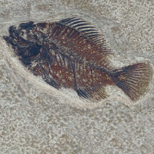 FM165165 На пол Natural Series Fossil Mix 16.5х16.5 - фото 16