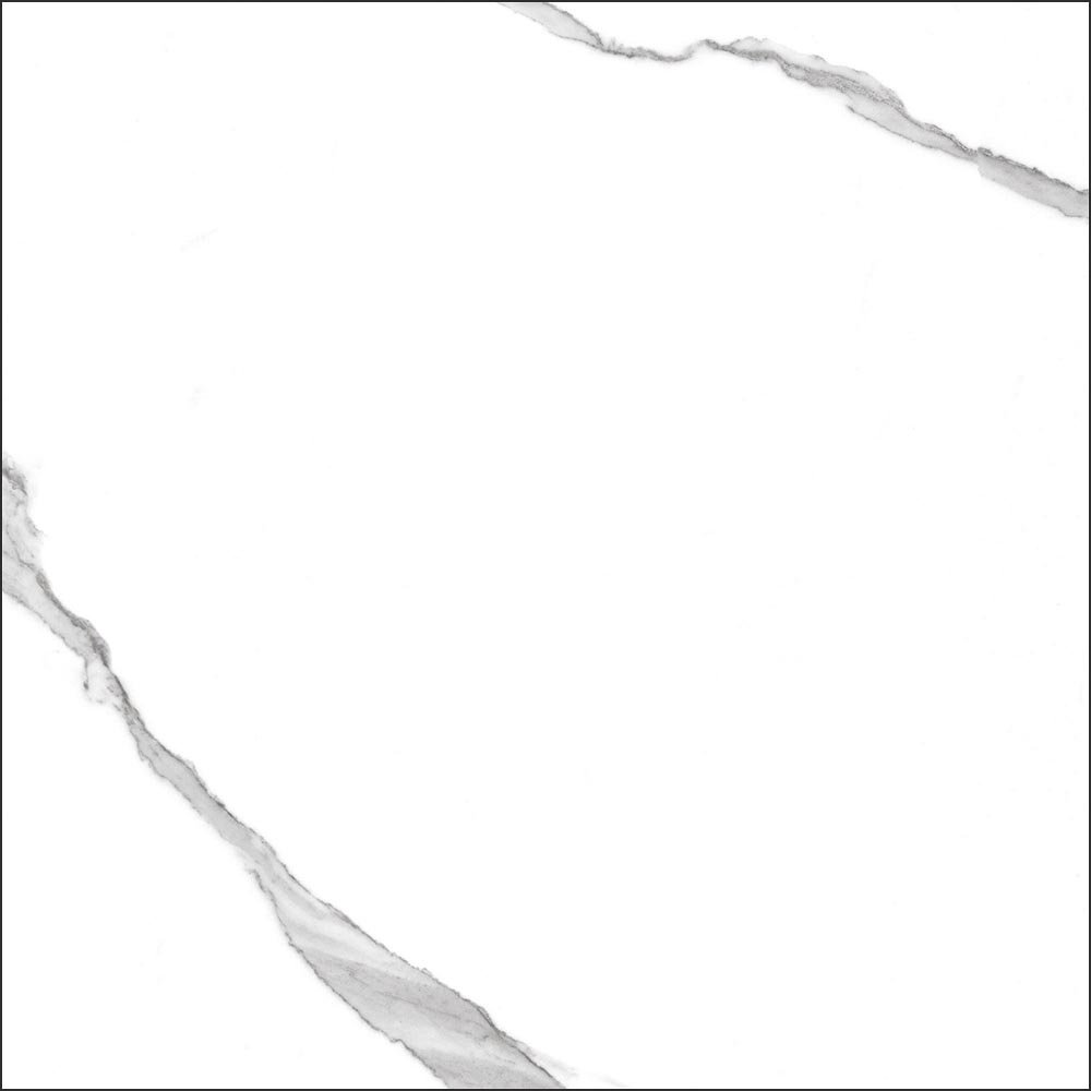 GT60601503MR На пол Anima Белый грес глаз. матовый - фото 15