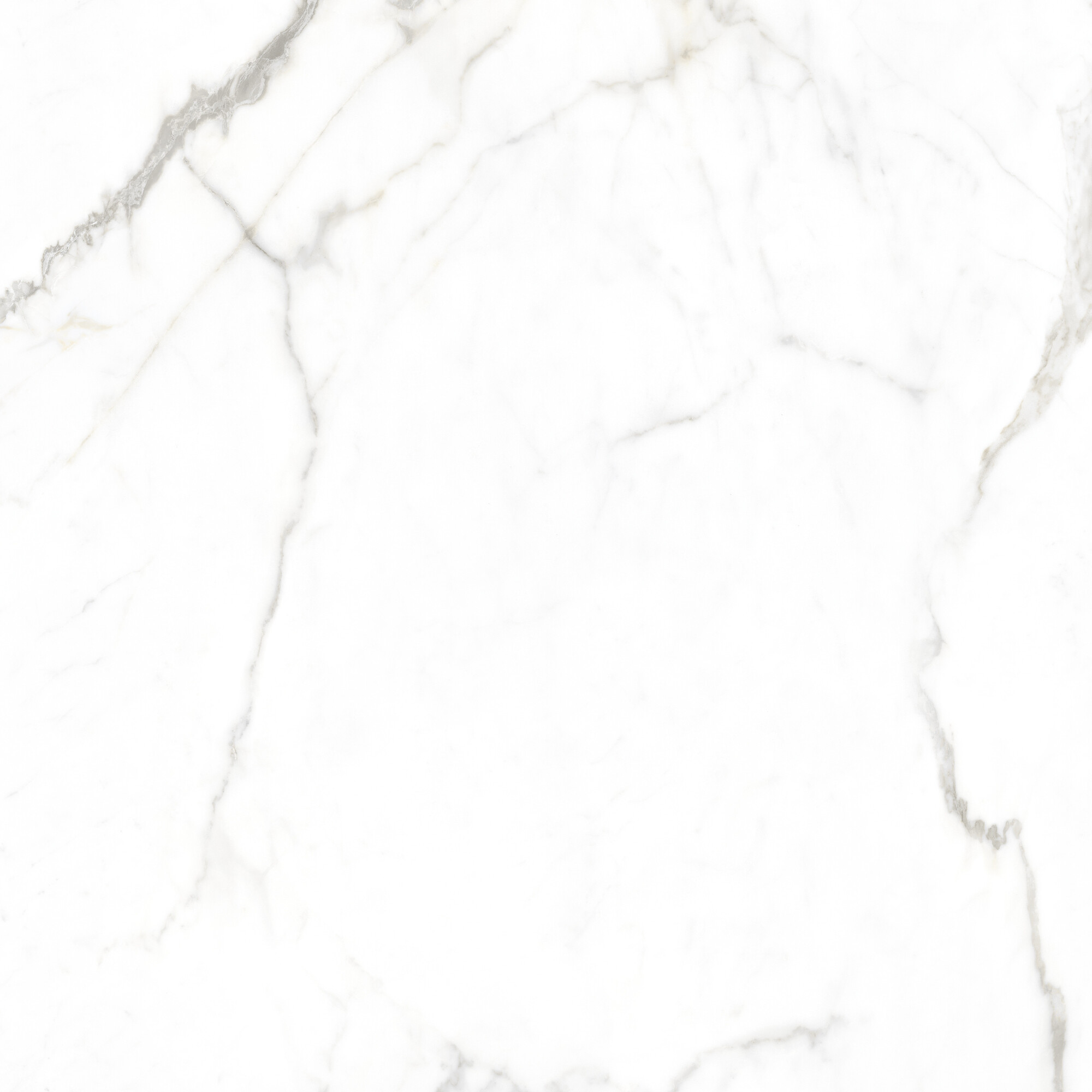 41741 На пол Museum Lumiere White SP/100x100x0.8/R - фото 3