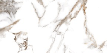 PRO 1130G На пол Oro Bianco Gloss 120x60 - фото 5