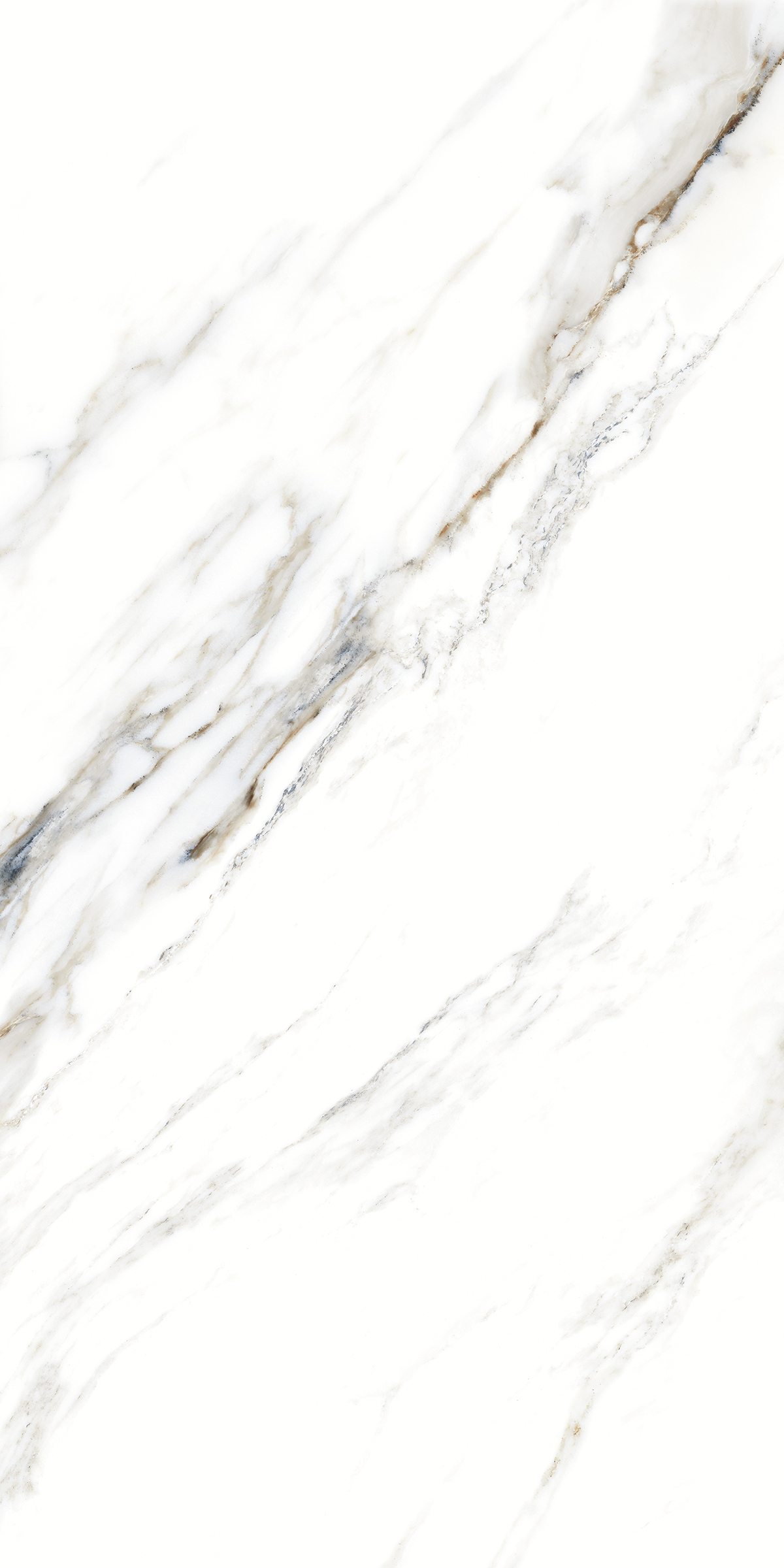 893  На пол Marble 5.5mm Fantastic White 120x60 - фото 3
