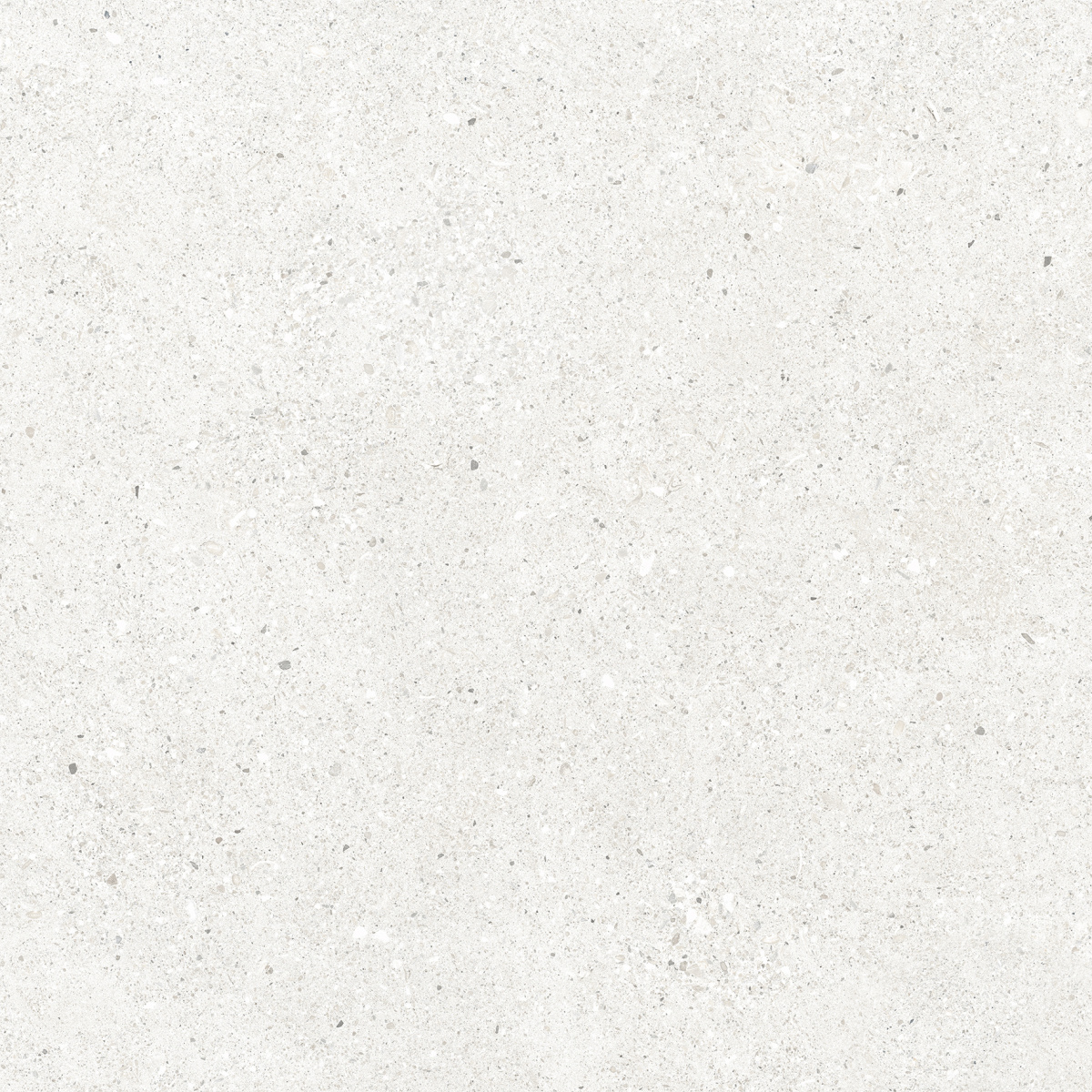 CR6060G0471R На пол Perla Bianco светло-серый матовый 59.5х59.5 - фото 3