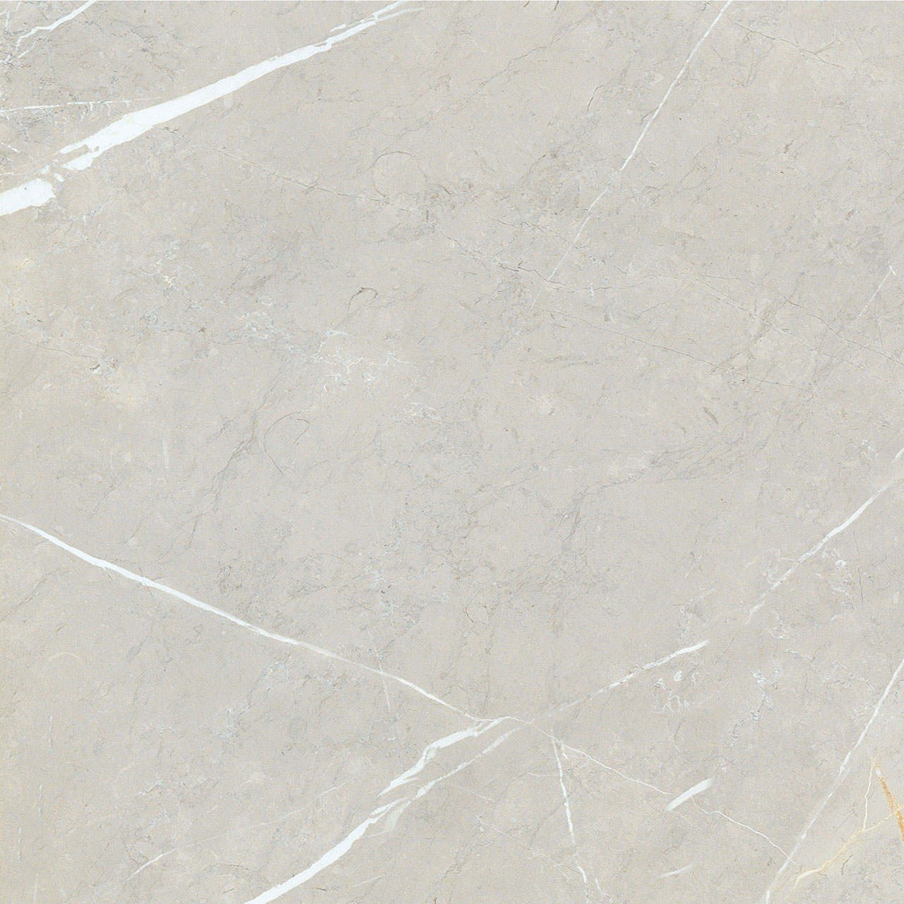 BB6NTT9101P На пол Bright And Shiny BB6NTT9101P - фото 3