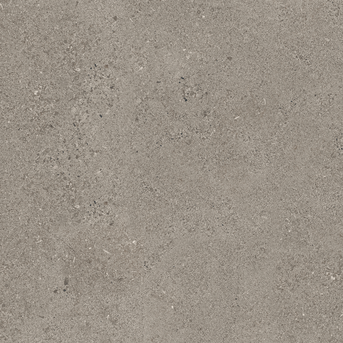 GSR0208 На пол Antibs Бежевый темный граниль 60х60 - фото 2