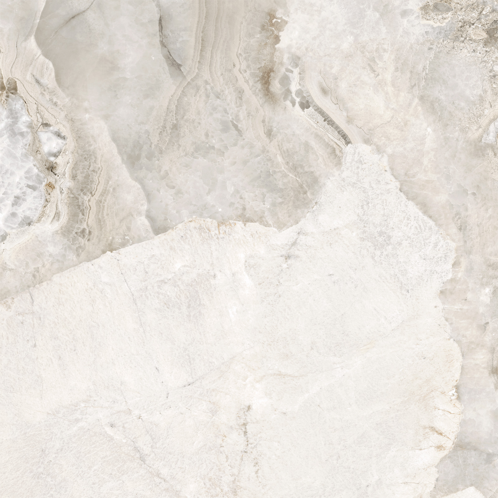 D60256М На пол Seashell Матовый 600x600x9.5 - фото 8