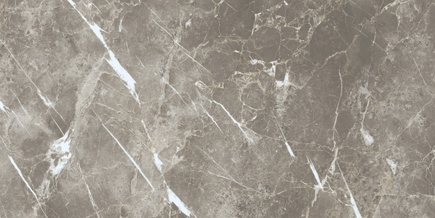 ECC2 На пол Elements Lux Persian Grey Silk RT 60x120 - фото 3