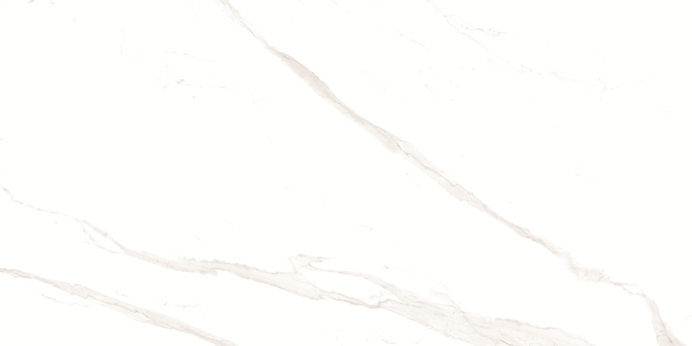 RP-238582  Pushkar White Matt 60x120 - фото 4