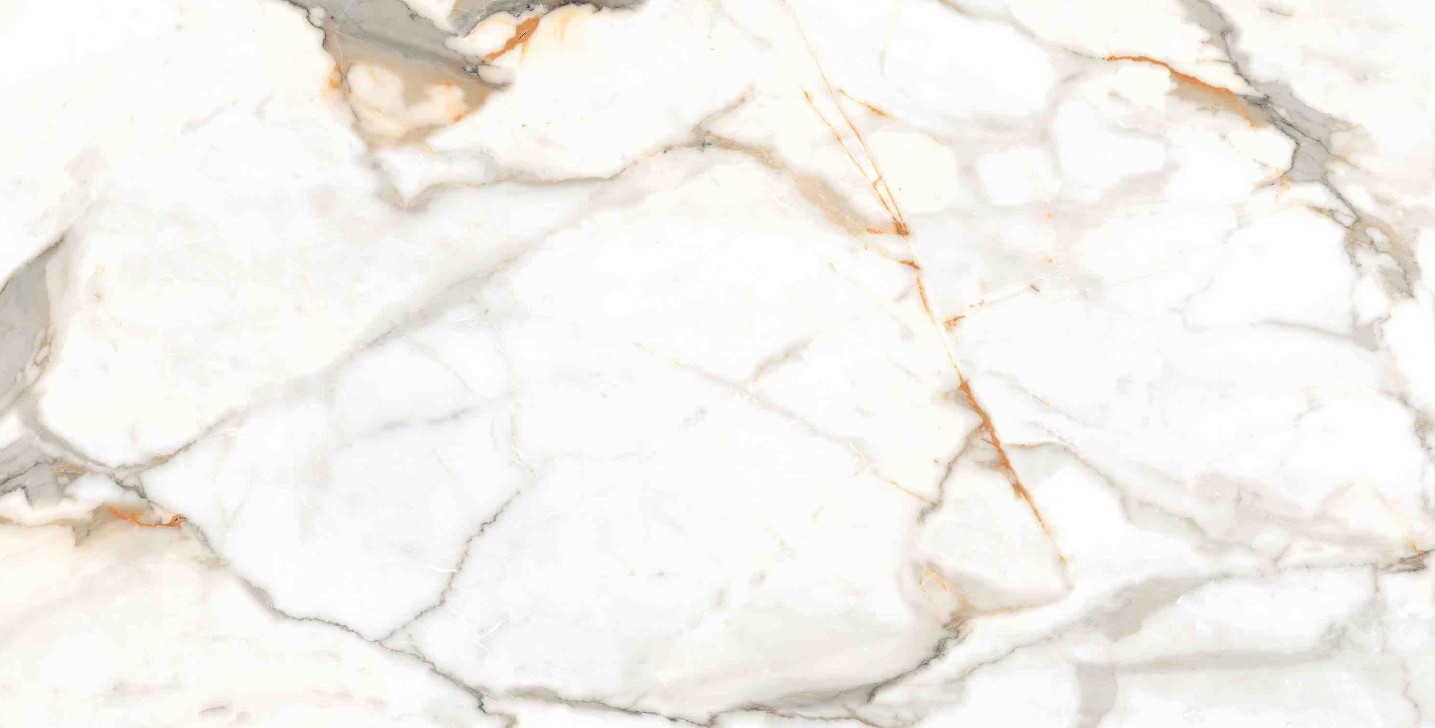 ENMAR7003MT60120 На пол Marble Calacatta Oro Matt 60x120 - фото 4