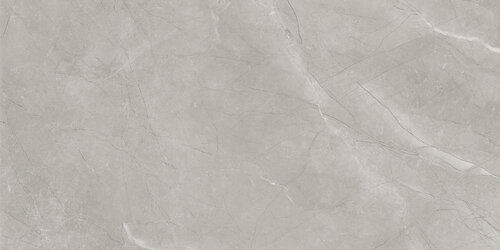 На пол Bayona Silver Natural 60x120 - фото 4